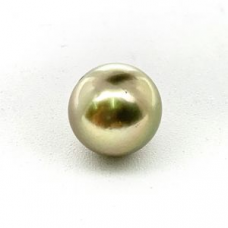 8.78 Carat/ 9.75 Ratti Tahitian Green Golden Pearl (Moti)